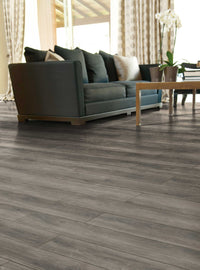 Aluminum Gray