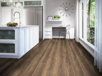 Carbon Brown