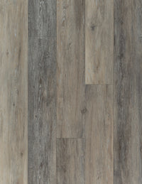 Victorian Ash