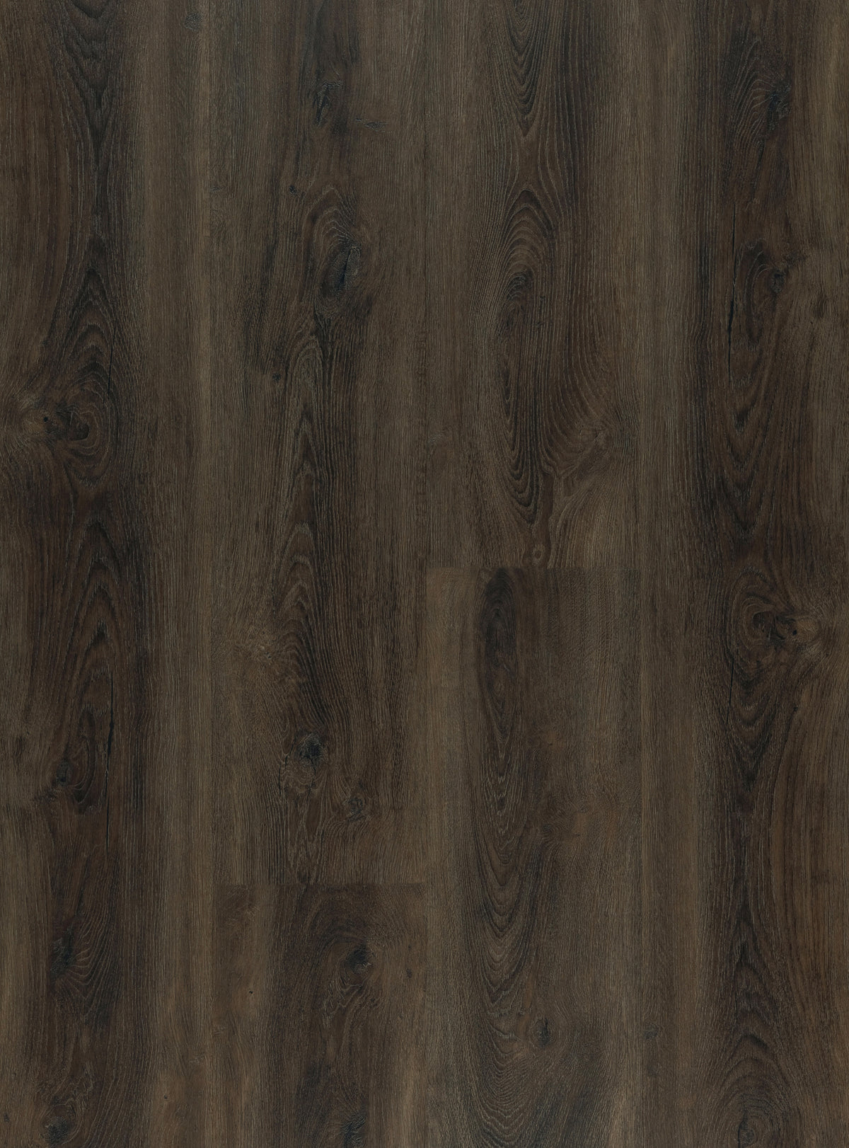 Carbon Brown